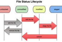 Git详解之二 Git基础